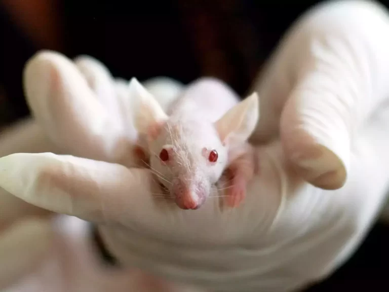 Possibility of Human Reproduction in Space Demonstrated as Scientists Successfully Cultivate Mouse Embryos
