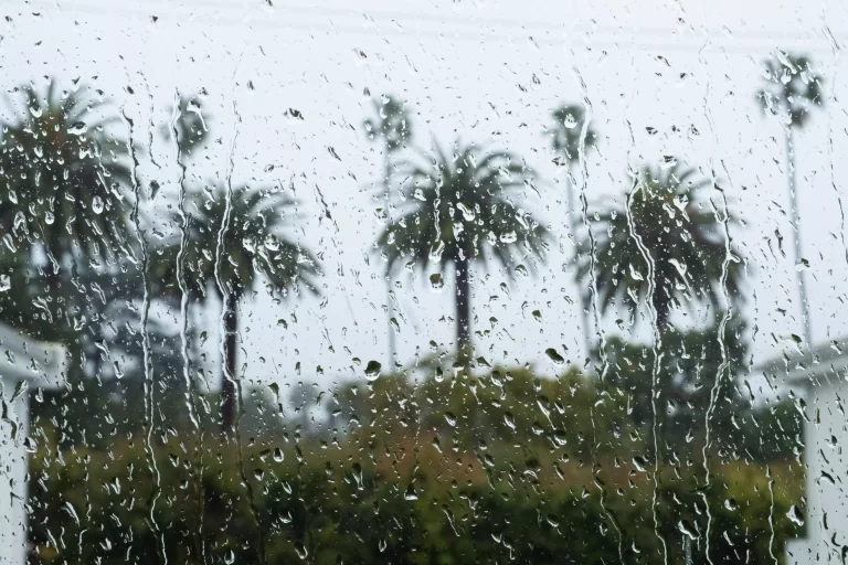 These 3 forecast maps reveal the impact of El Niño on winter weather in your specific region of the US