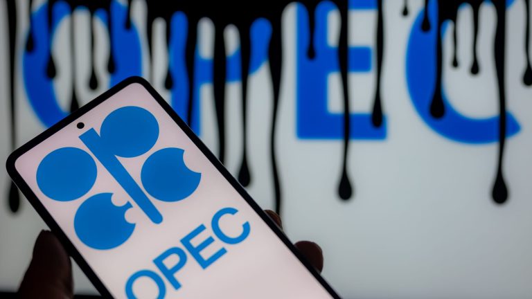 Rephrase the title:Oil group OPEC and its allies delay policy-setting meeting