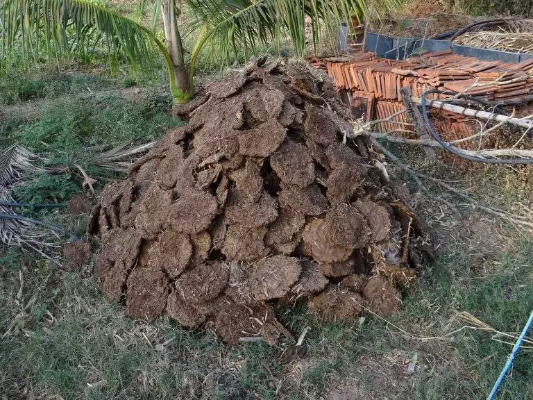 Rephrase the title:A Japanese Start-Up Is Testing a Rocket Powered Entirely By Rocket Fuel Created From Cow Dung!