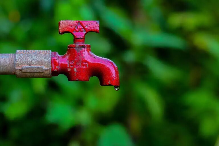 Rephrase the title:Amid water crisis in B'luru, BWSSB bans usage of potable water for non-essential purposes